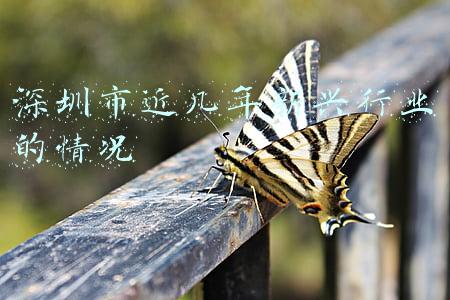 深圳市社保局(疫情防控期间，深圳社保窗口业务实行预约办理)