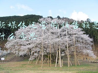 新媒体销售文案的特点(与自媒体相比，电商平台上文案创作有其自身的特点？)