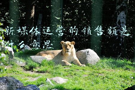 新媒体销售技巧和话术(美容师销售话术大全)