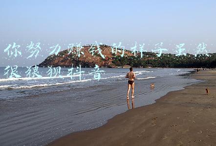 你搬砖的样子很狼狈(平凡的世界，多彩的人生)