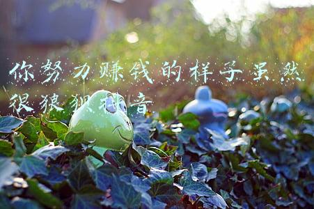 努力赚钱的样子很狼狈(你拼命挣钱的样子，有点狼狈)