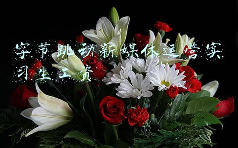 字节跳动新媒体运营面试经历(备战一个月，四闯字节跳动，终圆大厂梦！（附面试经历+复习笔记）)