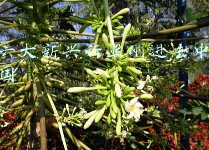 六大新兴行业刚进去中国