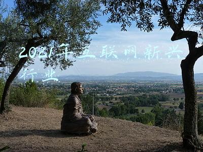 2021年互联网新兴行业