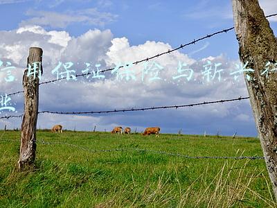 信用保证保险业务(财经观察：融资性信用保证保险须练内功)