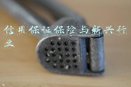信用保证保险的特点(信用险和保证险的辩证统一关系——信保系列谈之七)