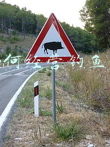 钓鱼场经营方案；钓鱼场的经营方法