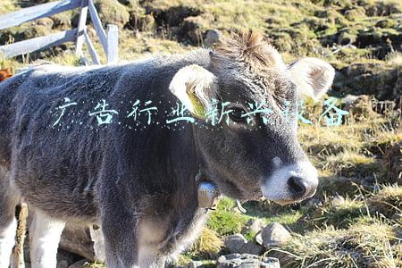 广告行业新兴设备