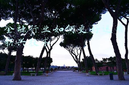 金融行业如何更好的融合新兴技术(一文读懂数字经济引擎，金融科技如何面对新监管？)