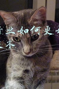 金融行业如何更好运用新兴技术
