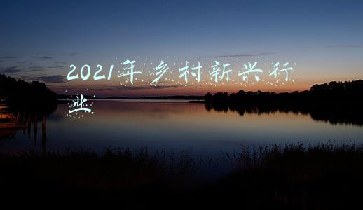 2021年乡村乡贤会工作总结(开封市新乡贤联谊会通许县分会2021年总结报告)