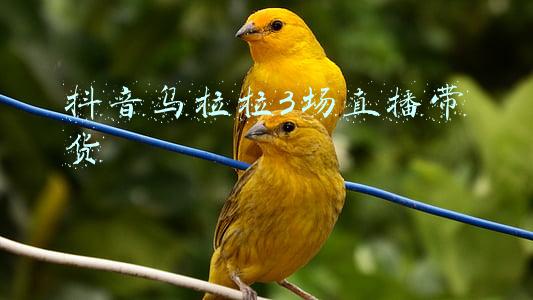 不休的乌拉拉(干货｜《不休的乌拉拉》背后的数据体系)