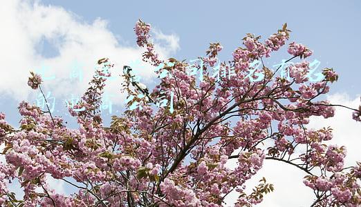 电商代运营十大公司排名(淘宝代运营公司十大排名合集)