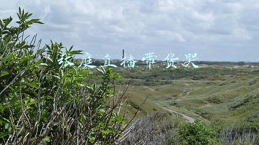 张庭直播带货哭