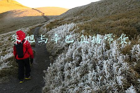 朱旭与辛巴直播带货