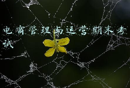 电商期末考试题及答案(《跨境电商平台实操》期末考试 试卷\u0026答案（B卷）)