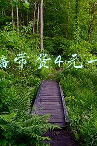 直播带货两千万(薇娅直播带货新疆棉，人气爆棚现货全被抢光，一小时卖超两千万)