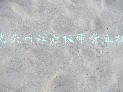 光头网红老板带货直播