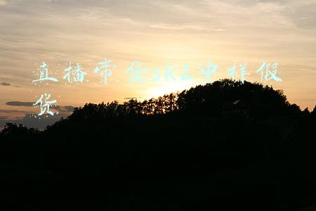 直播带货sk2中样假货