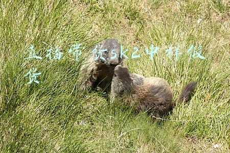 直播带货假货数据(真相：吹出来的业绩、狂“注水”的数据——直播带货流量造假触目惊心)
