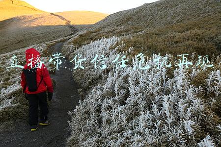 直播带货面临的威胁(薇娅“跌落”，直播带货蛮荒时代结束了)