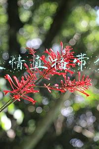 疫情直播带货数据(4场“战疫直播”带货6000万：梁建章的乐与路)