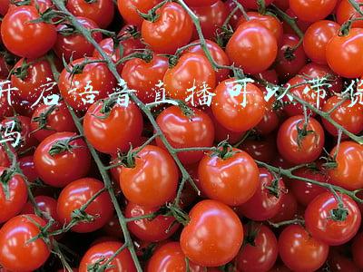 直播带货用什么麦克风(成为网红主播，一篇走心的直播麦克风选择指导)