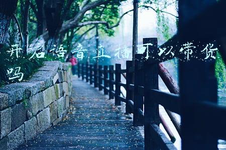 卖货语音(直播通用话术秘籍：引流赚钱从说话开始)