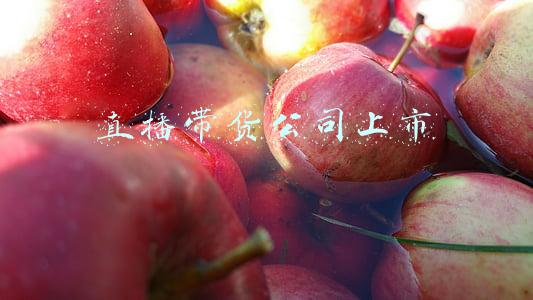 广州直播带货公司(线上线下“广带天下货”！本土品牌亮相第二届广州直播电商节)