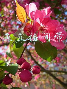 万州烤鱼(万州烤鱼：风靡全国一尾鱼 烤出百亿年产值)