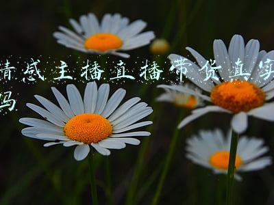 情感主播直播文案(深受大家喜欢的10大文案及直播宣传文案)