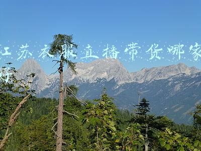 江苏衣服直播带货哪家好