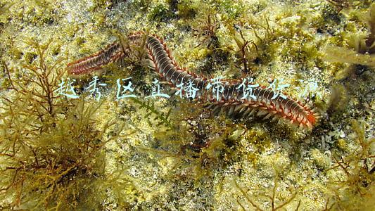越秀区信息网(2021年广州市越秀区民政局婚姻登记处编外辅助人员招聘公告)