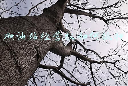 加油站可以出租经营吗?-加油站经营权可以出租吗