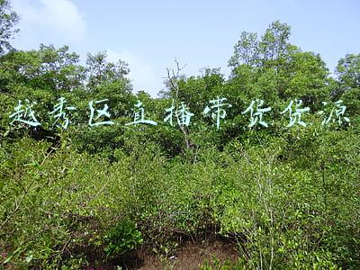 广州越秀区(越秀区多举措加强燃气行业安全监管)
