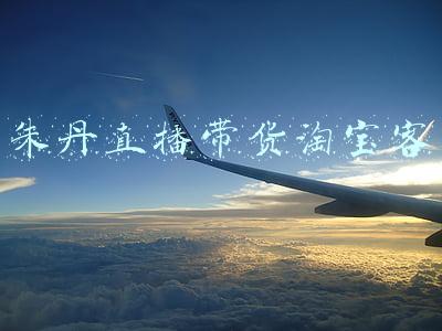 朱丹淘宝主播排名(李小璐直播两小时销售额4700万 朱丹、范冰冰、李湘等一大批明星开启带货模式)