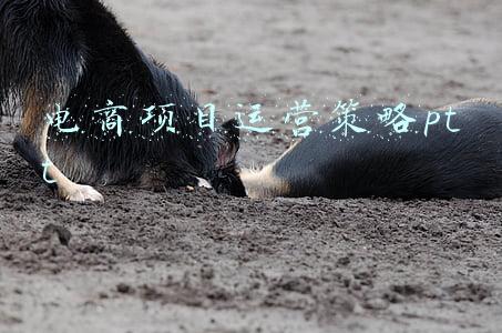 电商平台战略规划(2022-2028年中国服装电商行业发展战略规划及投资方向研究报告)