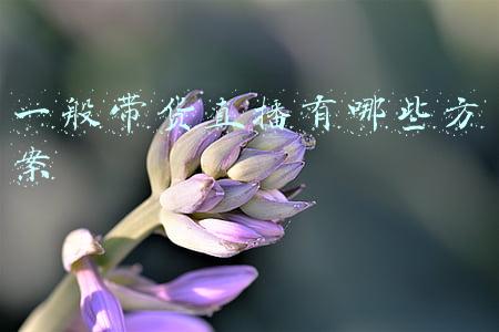 一般带货直播有哪些方案