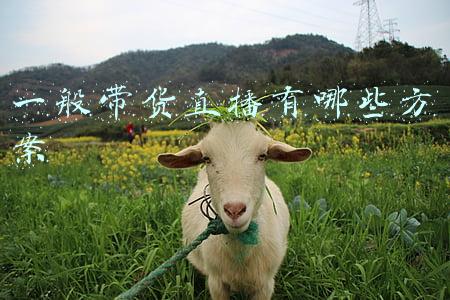 一般带货直播有哪些方案