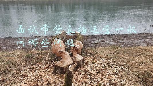 面试 直播带货如何组织(省考面试热点：直播带货的“坑”如何来“填”)