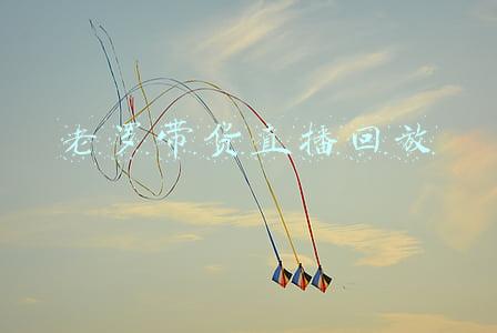 老罗带货直播回放