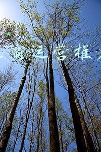 跨境电商平台有哪些推广方式(跨境电商营销推广（跨境电商怎么做流程）)