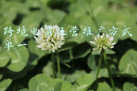跨境电商产品推广方案(行业观察 | 2021最火风口，月月融资过亿，一文看懂跨境电商服务图谱)