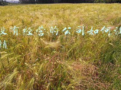 什么都没有可以注销公司吗 公司没做了必须注销吗