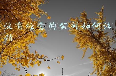 公司不经营可以不注销吗（公司不经营可以不注销）