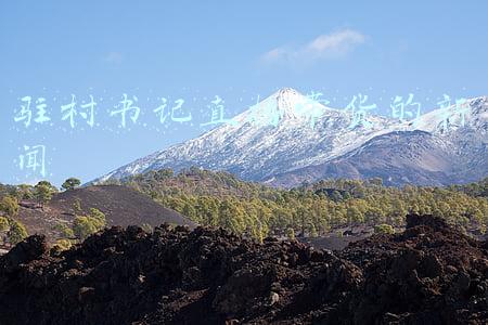 驻村第一书记直播带货(辛巴助力驻村第一书记直播带货助力乡村振兴)