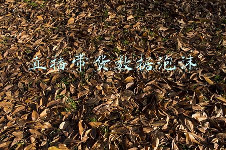 直播带货数据泡沫