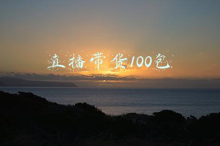 直播带货100包
