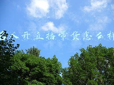 名人开直播带货怎么样