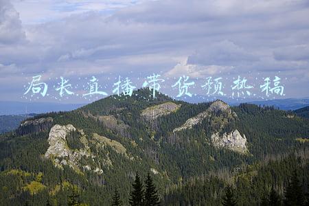 局长直播带货预热稿